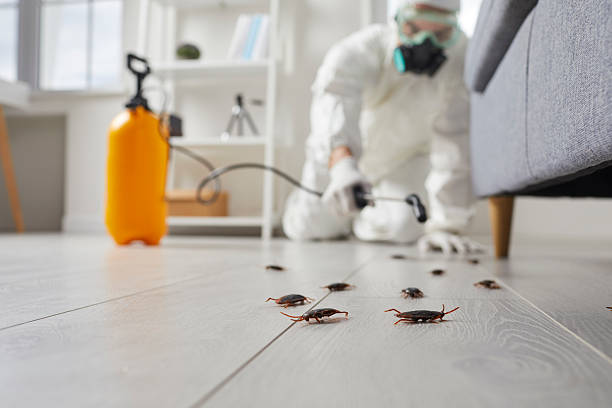 Commercial Rodent Management in Random Lake